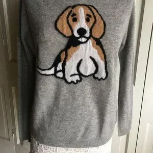 Beagle sweater sale